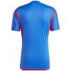 Koszulka Olympique Lyonnais 2023/24 Wyjazdowa