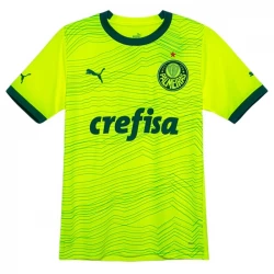 Koszulka Palmeiras 2023/24 Trzecia