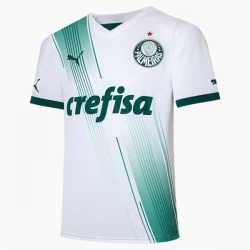 Koszulka Palmeiras 2023/24 Wyjazdowa
