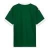 Koszulka Palmeiras 2025/26 Domowa