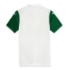 Koszulka Palmeiras 2025/26 Wyjazdowa